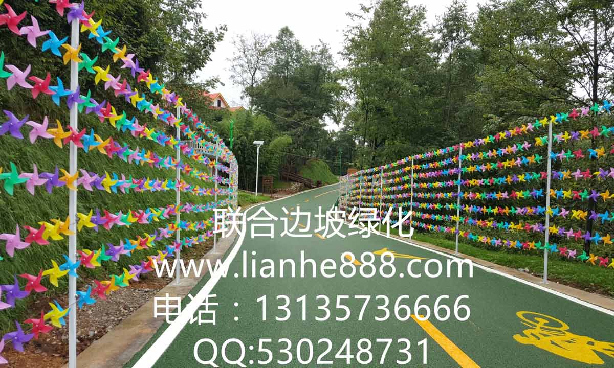 貴州六盤水大河堡國(guó)學(xué)館風(fēng)景旅游區(qū)邊坡復(fù)綠