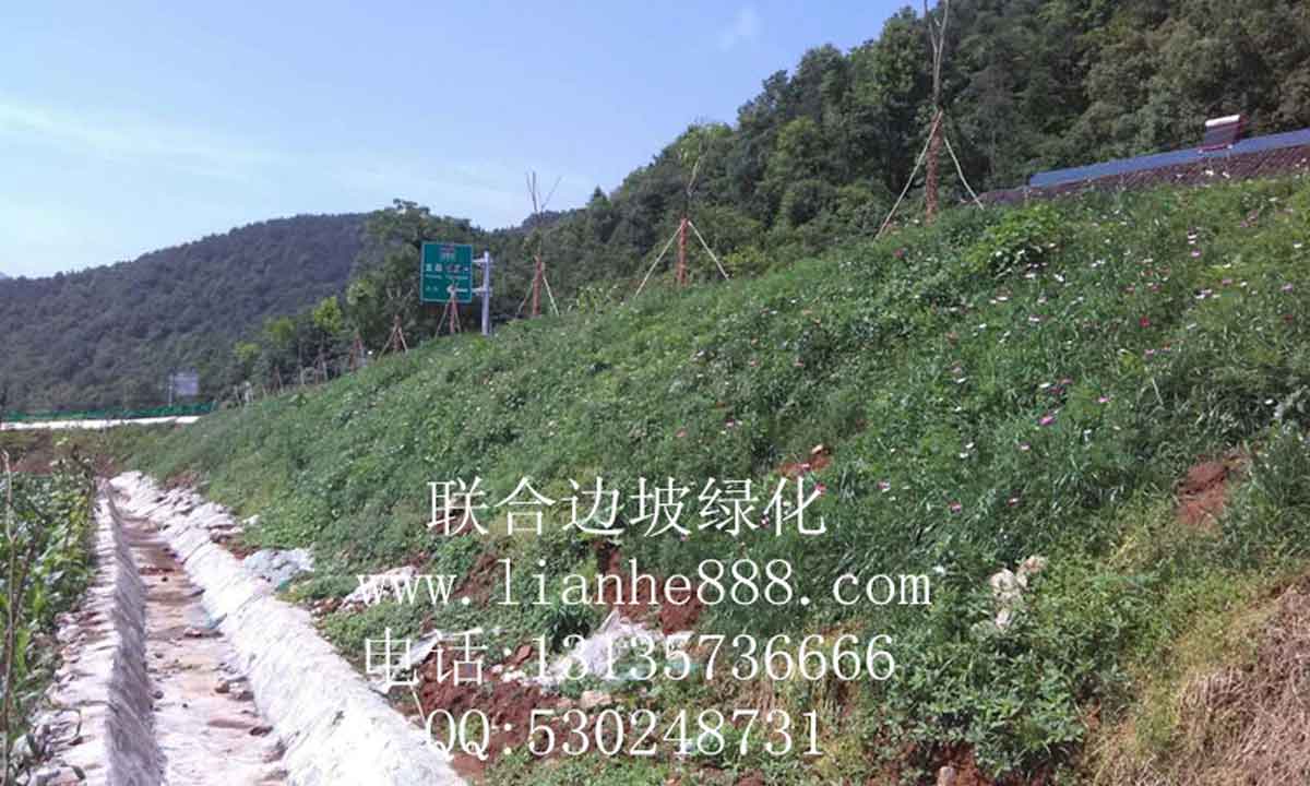 貴州、安順滬昆高鐵項目