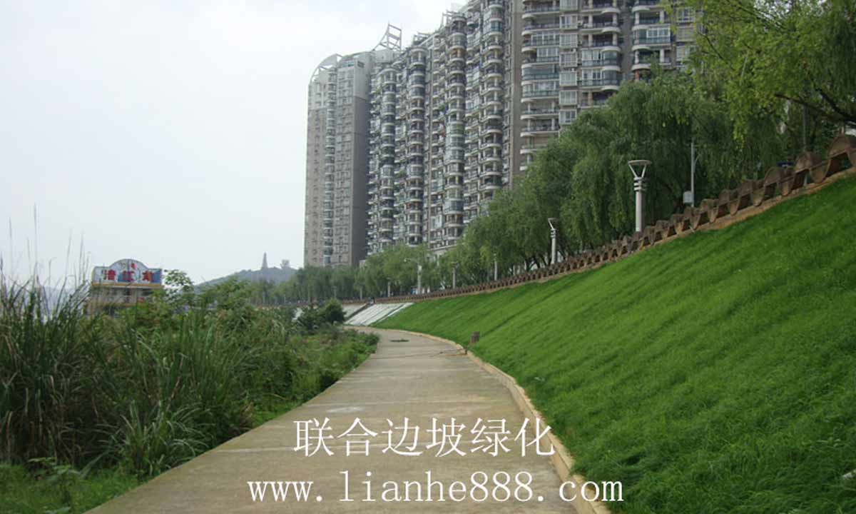 四川綿陽(yáng)三江碼頭河道治理項(xiàng)目